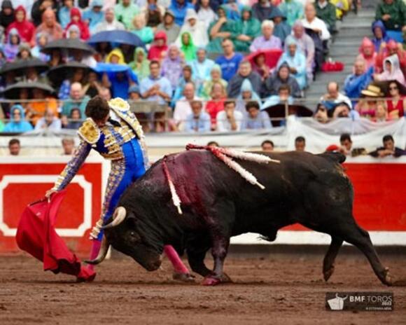 OBJECTIF FERIA DES VENDANGES : VICTORIANO DEL RÍO IMPRESSIONNE À BILBAO