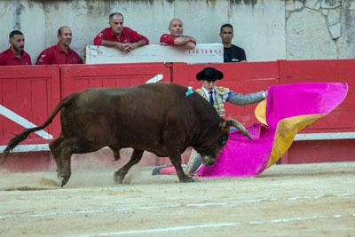 FERIA DES VENDANGES : ADRIEN SALENC CONFIRME SES INTENTIONS DE PENTECÔTE