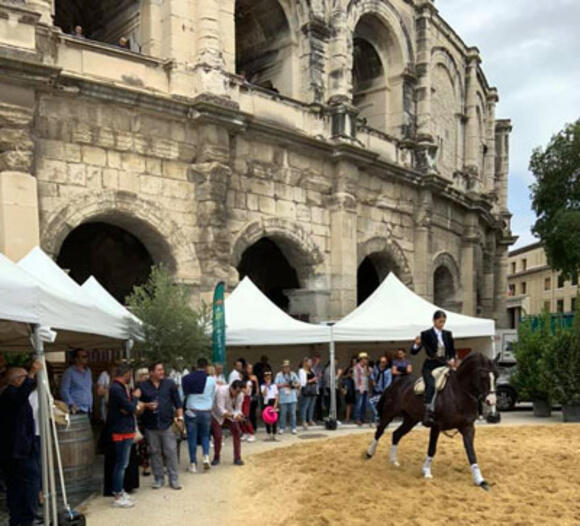 CARRÉ DES PARTENAIRES : EN VIP AU CŒUR DE LA FERIA DES VENDANGES