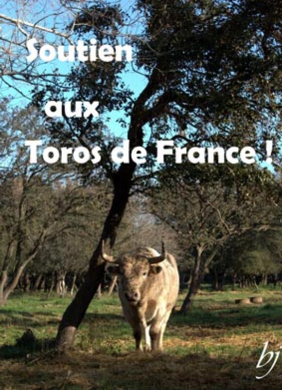 CRISE SANITAIRE DU COVID-19 : SOUTIEN AUX TOROS DE FRANCE