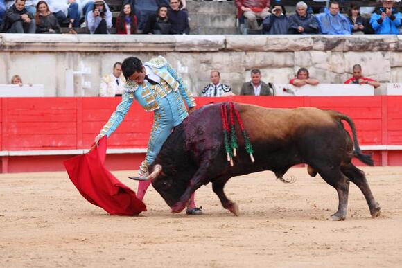 FERIA DE PENTECÔTE : LA PREMIÈRE OREILLE POUR THOMAS DUFAU FACE A UNE BONNE CORRIDA D’EL TORERO