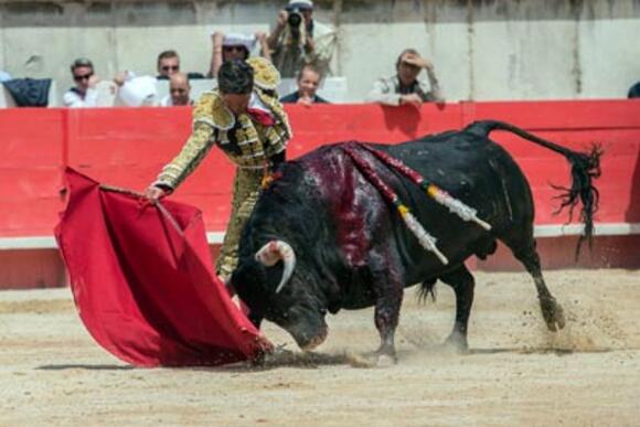 OBJECTIF WEEK-END TAURIN : DIEGO URDIALES ET JUAN ORTEGA, PRINCES DE MADRID