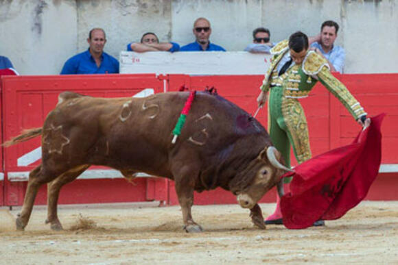 ALICANTE : LA CORRIDA DU 21 JUIN POUR LES ABONNÉS PROMOTIONNELS NÎMOIS