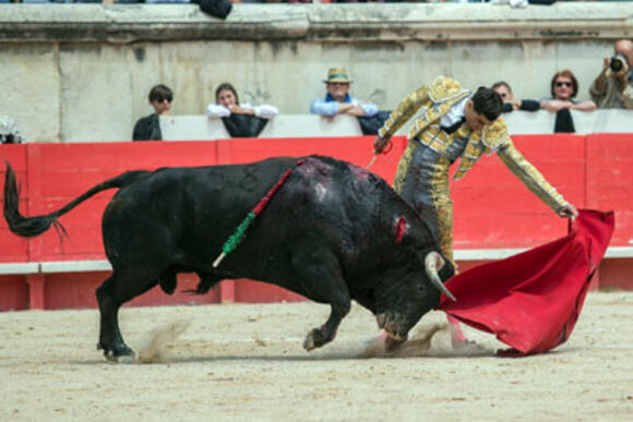 OBJECTIF FERIA DES VENDANGES : LA GRANDE SAISON DE PACO UREÑA