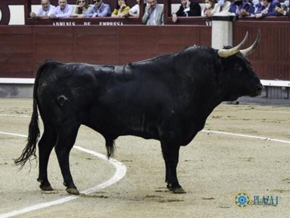 OBJECTIF FERIA DE PENTECÔTE : VICTORIANO DEL RÍO TOUJOURS EN HAUT DE L’AFFICHE