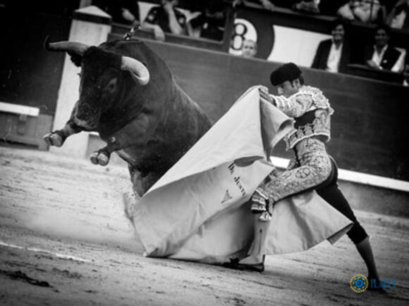 OBJECTIF FERIA DE PENTECÔTE : LES VICTORINO MARTÍN IMPOSENT SÉRIEUX ET RESPECT A MADRID