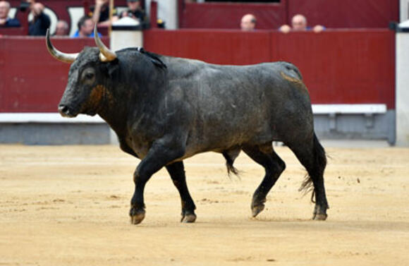 TEMPORADA : VICTORINO MARTÍN, FER ÉTOILE DE LA CORRIDA DES RAMEAUX A MADRID