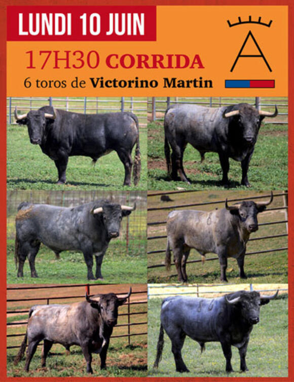 FERIA DE PENTECÔTE : LES TOROS DE VICTORINO MARTÍN S’AFFICHENT POUR UNE CORRIDA INCONTOURNABLE