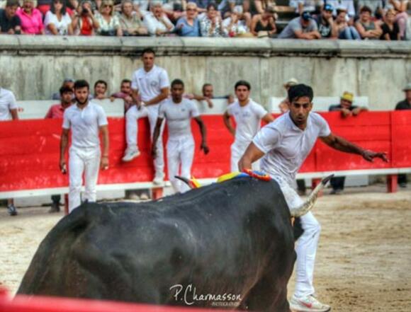 FERIA DE PENTECÔTE : JOACHIM CADENAS À L’AFFICHE DE LA COURSE CAMARGUAISE