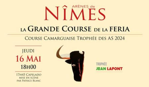 COURSE CAMARGUAISE : UN CONCOURS DE MANADES EN PREMIÈRE CLASSE POUR OUVRIR LA FERIA