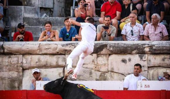 COURSES CAMARGUAISES DE L’ÉTÉ : DES ÉTOILES EN PISTE POUR UN GRAND SUCCÈS POPULAIRE