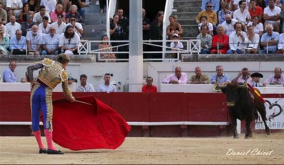 J -22 AVANT LA FERIA DES VENDANGES : ROBERT MARGÉ TRIOMPHE À NOUVEAU À DOMICILE AVEC LA GRÂCE DU TORO « NEPTUNE »