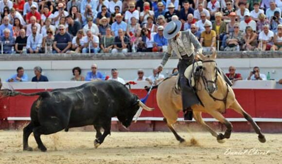 J -21 AVANT LA FERIA DES VENDANGES : LES GARANTIES GANADERAS D’EL CAPEA ET FERMÍN BOHÓRQUEZ