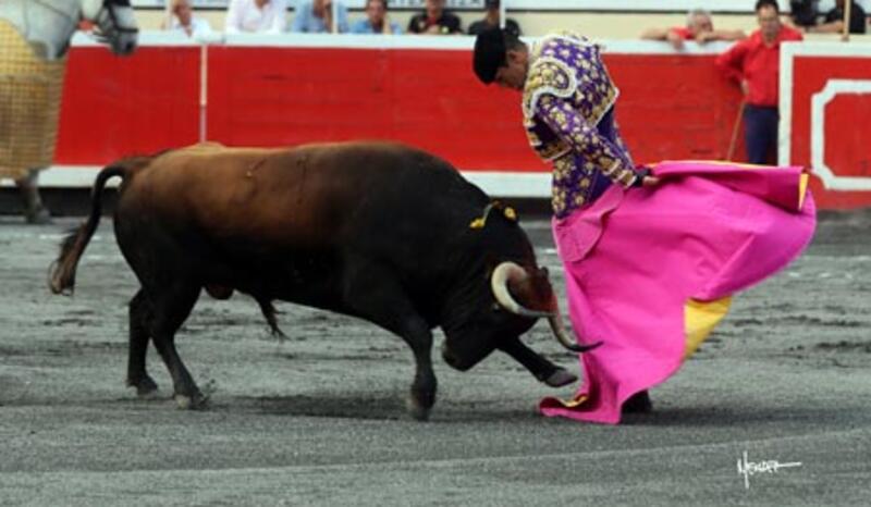 J -12 AVANT LA FERIA DES VENDANGES : DES VICTORIANO DEL RÍO DE CARACTÈRE À BILBAO