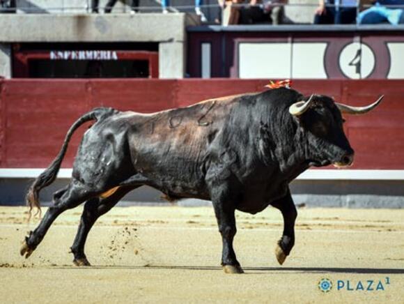 OBJECTIF FERIA DES VENDANGES : PRÉSENTATION RÉUSSIE POUR ROBERT MARGÉ À MADRID