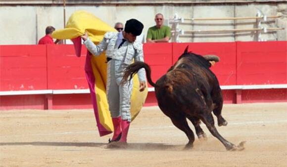 J -26 AVANT LA FERIA DES VENDANGES : SUCCÈS DE NINO JULIÁN À LA NOVILLADA DE SOUSTONS