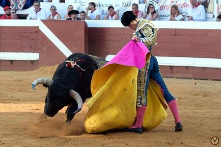 OBJECTIF FERIA DES VENDANGES : VICTORIANO DEL RÍO FAIT LA DIFFÉRENCE À DAX