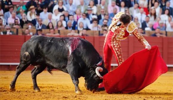 J -22 AVANT LA FERIA DE PENTECÔTE : LES GANADERÍAS EN SCÈNE À SÉVILLE