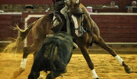 J -32 AVANT LA FERIA DES VENDANGES : UN GRAND LOT DE FERMÍN BOHÓRQUEZ À HUELVA