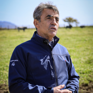 Victorino Martin nous a reçu chez lui, à la finca Las Tiesas de Santa Maria pour nous faire découvrir les toros sélectionnés pour le solo de Borja Jiménez, le lundi de Pentecôte à 18h. 
